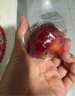 樂淇（ROCKIT）進(jìn)口火箭筒蘋果5粒中筒裝單筒245g起生鮮 新鮮水果 曬單實(shí)拍圖