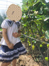 戴維貝拉庫洛米聯(lián)名女童套裝公主裙兒童裙子夏季童裝女孩衣服 曬單實(shí)拍圖