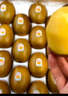 佳沛（zespri）新西蘭  陽光金果10粒巨大果單果約144-175g 中秋水果禮盒 獼猴桃 曬單實拍圖