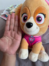 汪汪隊立大功（PAW PATROL）毛絨公仔男孩女孩生日禮物玩具經(jīng)典款天天公仔中號22.9CM 曬單實(shí)拍圖