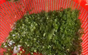 鵬眾新型切菜機(jī)商用多功能蔥花韭菜辣椒切段機(jī)切片切小料水洗輸送帶全自動切果蔬機(jī)器 P-16Z尊享款 曬單實拍圖