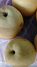 遠達（YUANDA）河北皇冠梨趙縣特產(chǎn)新鮮水果冰糖雪梨當(dāng)季水果梨子整箱白梨脆甜 皇冠梨凈重9斤 彩箱裝 曬單實拍圖
