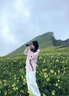 棉致山系戶(hù)外登山?jīng)_鋒衣連帽外套女春秋季2025新款防風(fēng)防水工裝夾克 8053櫻花粉【高品質(zhì)38】 M 105-125斤 曬單實(shí)拍圖