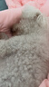 樂(lè )瓜睡覺(jué)抱枕床上等身長(cháng)條大抱枕側睡夾腿枕恐龍抱睡玩偶靠枕睡覺(jué)神器 曬單實(shí)拍圖