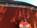 蕉下（beneunder）遮陽(yáng)帽子女雙面倍護(hù)漁夫帽防曬帽大檐防紫外線(xiàn)AL500灰 曬單實(shí)拍圖