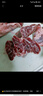 恒都 國產(chǎn)谷飼原切牛腱子 5斤 不含腱子芯 生鮮牛肉 源頭直發(fā) 曬單實(shí)拍圖