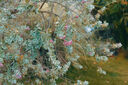 松下S5M2（20-60mm+50mm）（Panasonic）S5二代 全畫幅微單相機 約2420萬有效像素 新相位混合對焦 曬單實拍圖