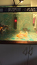 沃韋朗立凈寶魔立凈活性炭魚缸過濾材料除異味除臭黃 沃韋朗立凈寶【3盒】 曬單實拍圖