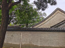 優(yōu)衣庫女裝快干休閑廓形褲運動(dòng)彎刀鐮刀褲高腰速干新款479619 69 藏青色 XL /165/76A 曬單實(shí)拍圖