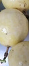京鮮生 黃金百香果 2斤裝 約13-15粒 單果約70g 酸甜欽蜜 生鮮水果 曬單實(shí)拍圖