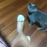 西域駱駝?wù)嫫ぱ蚱\口單鞋女平底低跟單鞋中年夏季皮鞋女軟底不累腳媽媽鞋 米色-駱駝官方品牌官網(wǎng)旗艦 38 曬單實(shí)拍圖