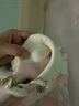 PawinPaw卡通小熊童裝秋冬女寶寶花邊翻領(lǐng)毛衣經(jīng)典格紋 Pink粉紅色/25 110 cm 曬單實(shí)拍圖