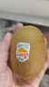 佳沛（zespri）新西蘭  陽光金奇異果10粒禮盒巨大果單果約144-175g 水果 獼猴桃 曬單實拍圖