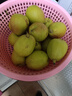 源自新疆紅香酥梨新鮮梨子3/5/10斤脆甜皮薄梨子應(yīng)季水果整箱批發(fā) 凈重9斤精選大果 曬單實(shí)拍圖