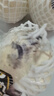 京鮮生 海南椰青 9個(gè)裝(單果1000g+) 新鮮水果生鮮年貨椰子 源頭直發(fā) 曬單實(shí)拍圖