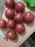 京鮮生沙瓤粉西紅柿 凈重3斤 單果100g+果菜兩吃 源頭直發(fā) 【搜生鮮館】 曬單實拍圖