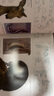 神奇動物在哪里藝術(shù)設(shè)定集 The Art of the Film: Fantastic Beasts and Where 英文進(jìn)口原版 曬單實拍圖