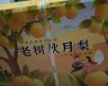 京鮮生青青大地萊陽(yáng)老樹(shù)秋月梨 6斤6粒 精品大果水果禮盒 曬單實(shí)拍圖