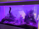 森森（SUNSUN）2025年新品森森魚缸客廳超白玻璃水族箱招財(cái)家用底濾免換水魚缸 珍珠白（升級(jí)底濾/超白玻璃/無極調(diào)光） 靠墻款長120*寬42*缸高72/柜高80cm 曬單實(shí)拍圖
