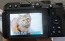 尼康（Nikon）【國(guó)家補(bǔ)貼】Z30入門(mén)級(jí)微單相機(jī)Vlog家用自拍高清旅游翻轉(zhuǎn)屏自拍相機(jī) 單機(jī) Z30單機(jī)身（不含鏡頭） 官方標(biāo)配【送鋼化膜+座充+相機(jī)包+曬單送三腳架】 曬單實(shí)拍圖