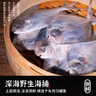 海鼎紀 舟山海捕大號銀鯧魚(yú)400g*2包 4條/包 生鮮魚(yú)類(lèi) 中秋 曬單實(shí)拍圖