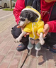 寵城狗狗衣服帶帽四腳衣可秋冬款加厚保暖防掉毛小型犬貓咪可愛(ài)背帶褲 翅膀四腳衣 S【建議3-5斤 參考胸圍背長(cháng)】 曬單實(shí)拍圖