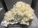 英悅手機(jī)掛繩斜挎掛脖鏈防丟帶金屬貼片夾片墊片連接片適用蘋(píng)果華為榮耀小米三星吊繩防摔掛件防盜掛飾 曬單實(shí)拍圖