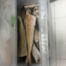 禧美海產(chǎn) 阿拉斯加狹鱈魚(yú)凈重4斤 去頭去臟整條 6-10條裝 深海鱈魚(yú)明太魚(yú) 曬單實(shí)拍圖