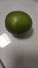 甘果有約 香水檸檬 無(wú)籽青檸檬 青檸新鮮水果 塔西提 3斤精品現摘一級果 曬單實(shí)拍圖