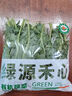 綠源禾心有機(jī)羽衣甘藍(lán)新鮮現(xiàn)摘輕食材kale健身西餐沙拉時(shí)令健康無農(nóng)殘蔬菜 一斤 曬單實(shí)拍圖