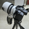 佳能（Canon）RF70-200mm F2.8 L IS USM 遠(yuǎn)攝鏡頭 微單鏡頭 大三元 “小白IS” 曬單實拍圖
