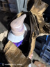 力士力士奢寵香氛沐浴乳幽蓮魅膚沐浴露男女家用沐浴露 幽蓮1kg 曬單實(shí)拍圖