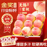 山姆伯伯 無(wú)錫水蜜桃【JD順豐-閃送】陽(yáng)山鎮(zhèn)水蜜桃新鮮桃子水果禮盒物品 爆甜 | 國(guó)貢級(jí) 12枚裝 單果5-6兩 【自吃推薦-鎖鮮裝】顆顆精品 曬單實(shí)拍圖