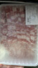 澳洲谷飼原切肥牛卷 1.1kg 牛肉卷火鍋食材肥牛片生鮮牛肉 原切 1.1kg 1盒 盒裝 曬單實(shí)拍圖