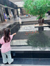 Teenie Weenie Kids小熊童裝25年夏季新款女寶寶肩開(kāi)扣印花短袖T恤打底衫 粉色 120 cm 曬單實(shí)拍圖