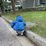 嘟嘟家男童冬裝棉服連帽外套兒童冬季加厚保暖棉衣寶寶休閑滿(mǎn)印棉襖童裝 藍色 100 曬單實(shí)拍圖