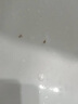 康佳超聲波潔牙器洗牙器結石去清除潔洗牙齒沖洗器去黃牙結石神清潔器煙漬茶漬工具醫用七夕情人節禮物 星空藍95%選擇【真超聲波醫療器械認證】 4支噴頭 曬單實(shí)拍圖