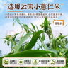 拾善方炒薏仁米開(kāi)袋即食直接吃炒熟燙砂柴火炒薏米仁爆米花非油炸零食 曬單實(shí)拍圖