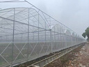 智能內外遮陽(yáng)連體大棚玻璃溫室定制家用蔬菜養殖大棚溫室骨架全套 玻璃溫室 曬單實(shí)拍圖