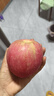 正宗煙臺(tái)蘋果棲霞紅富士脆甜新鮮水果整箱生鮮蘋果水果 凈重4.5斤80mm 曬單實(shí)拍圖