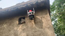 小霸王4g攝像頭室外戶(hù)終身免流量監控器AI家用無(wú)線(xiàn)無(wú)需wifi手機遠程360度無(wú)死角帶夜視全景插卡不用網(wǎng)絡(luò ) 曬單實(shí)拍圖