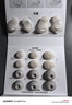 聲闊SleepA30睡眠耳機深睡艙藍牙耳機睡覺(jué)不壓耳無(wú)線(xiàn)降噪隔音耳塞助眠隱形小巧適用蘋(píng)果華為小米白色 曬單實(shí)拍圖