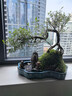 瀚林怡景（HANLINYIJING）六月雪盆景植物樹(shù)樁懸崖造型假山老樁室內客廳辦公室綠植桌面盆栽 山水石景（青釉）-六月雪 曬單實(shí)拍圖