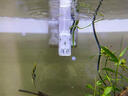 FKSC魚(yú)缸過(guò)濾器凈水循環(huán)三合一水泵制氧小型壁掛瀑布過(guò)濾器一體氧氣泵 靜音降噪過(guò)濾器【適合缸15-30cm】 曬單實(shí)拍圖