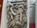 鮮享純【青島蝦】超大蝦新鮮大蝦冷凍鮮活青島大蝦批發(fā)整箱基圍蝦青蝦 15-17厘米鮮蝦速凍 3斤(凈重) 曬單實(shí)拍圖