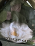 babycare山茶花嬰兒隔尿墊一次性新生兒防水透氣護(hù)理墊M碼38片 曬單實(shí)拍圖