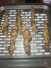 民維大牧汗羔羊后腿羊肉串218g原味 燒烤食材半成品 羊肉生鮮 曬單實(shí)拍圖