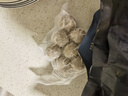 海底撈潮汕牛肉丸150g*6連包 肉含量90%火鍋燒烤煲湯關(guān)東煮丸子食材 曬單實(shí)拍圖