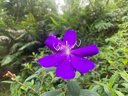 彌鹿（MiDeer）進(jìn)階拼圖幼兒早教紙質(zhì)大塊拼圖3階-公主奇緣(收納袋款)家居裝飾 曬單實(shí)拍圖