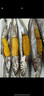 賣魚(yú)郎先生加拿大滿籽多春魚(yú)無(wú)冰凈重4斤104-128條 全籽燒烤食材生鮮 魚(yú)類 曬單實(shí)拍圖